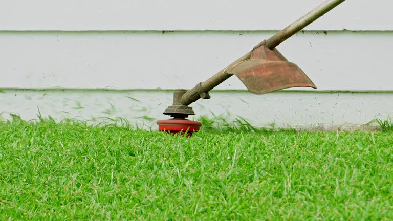 Best Lawn Grading and Leveling  in El Granada, CA